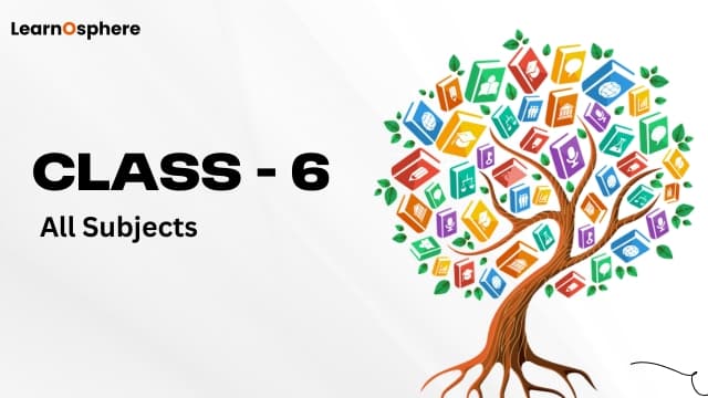Class 6 Complete Course - Maths, Science & SST with Olympiad Prep